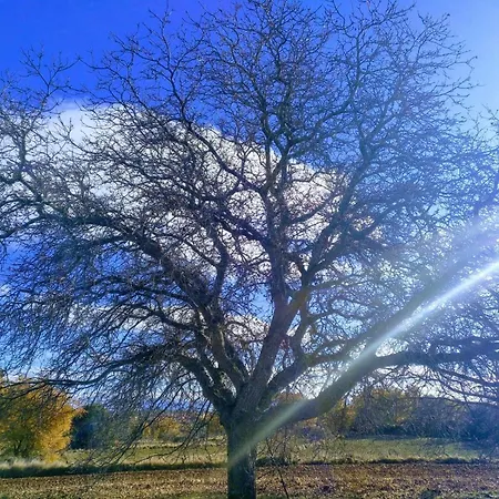 La Torreta En El Rincón De Ademuz *